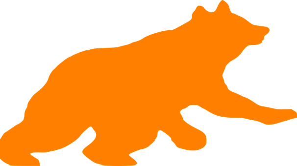 Orange Bear Silhouette Graphic