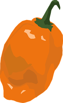 Orange Bell Pepper Illustration