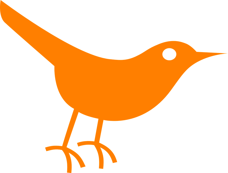 Orange Bird Silhouette