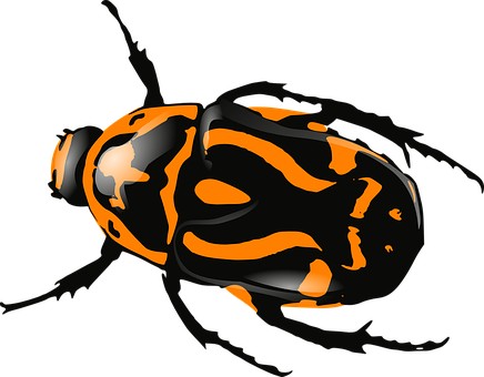 Orange Black Patterned Bug