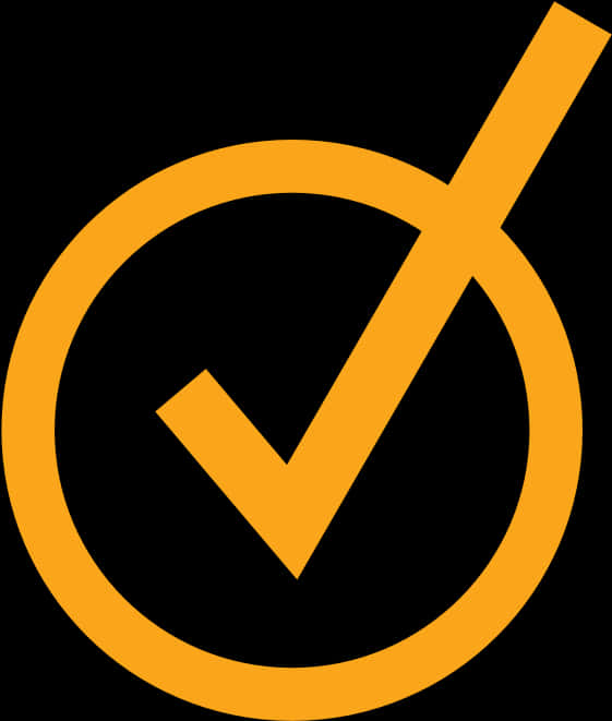 Orange Check Mark Icon