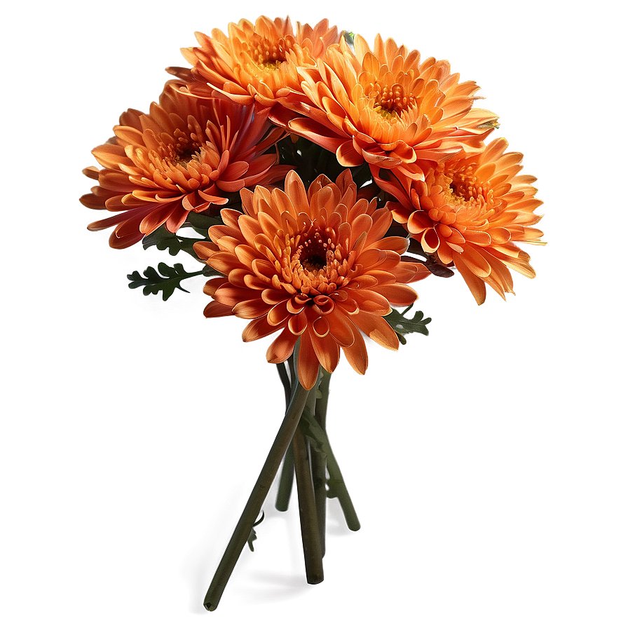 Orange Chrysanthemum Arrangement Png Drh6