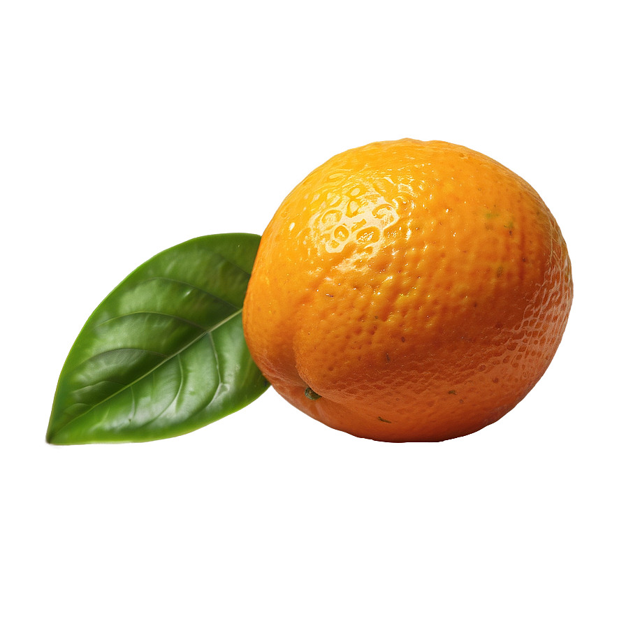 Orange Citrus Wedge Png 05032024