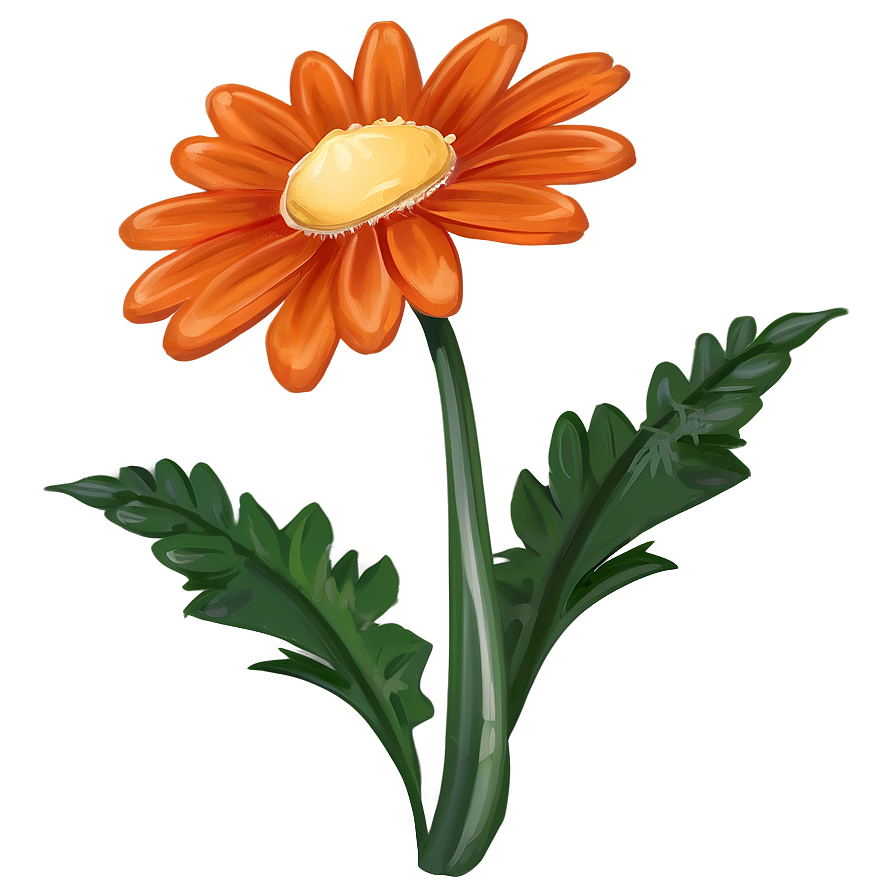 Orange Daisy Illustration Png 57