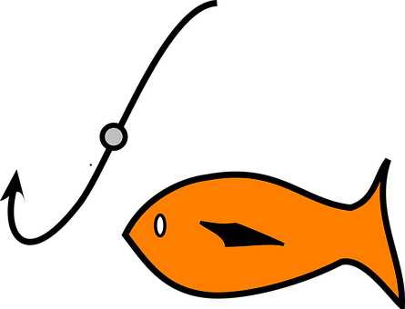 Orange Fish Black Background