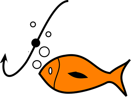 Orange Fish Black Background