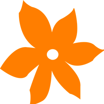 Orange Flower Icon Black Background