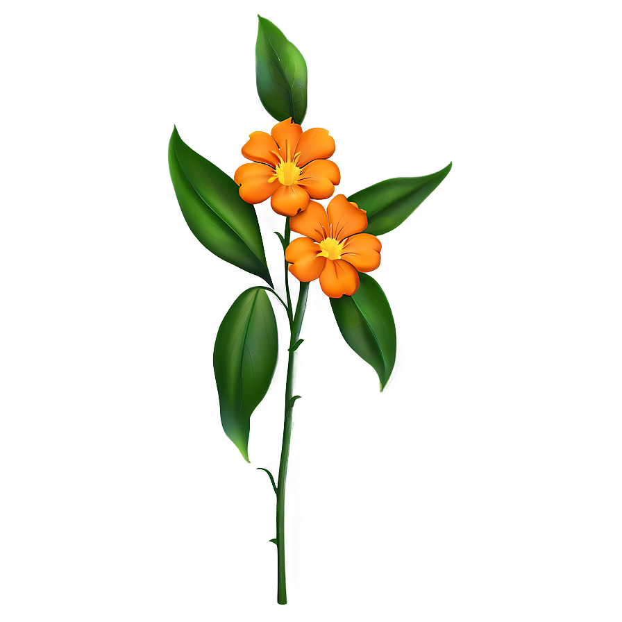 Orange Flower Png 70