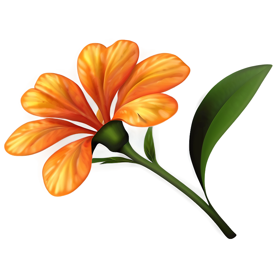 Orange Flower Silhouette Png 06122024