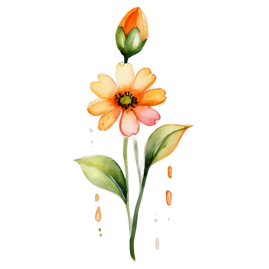 Orange Flower Watercolor Png Qrr