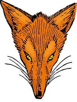 Orange Fox Face Illustration