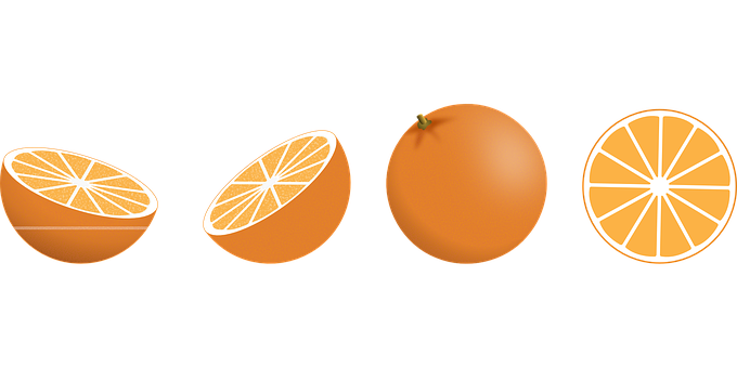 Orange Fruit Slices Progression