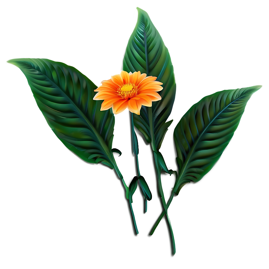 Orange Garden Flower Png Uqn52