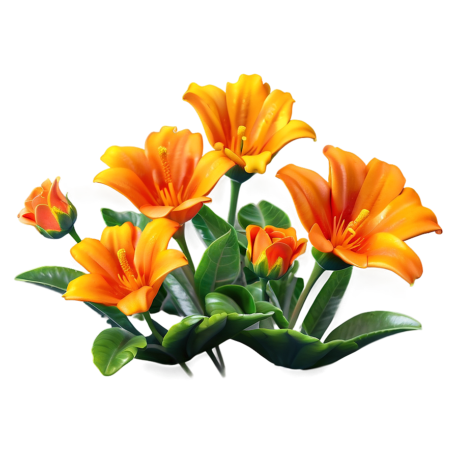 Orange Garden Flower Png Wuk