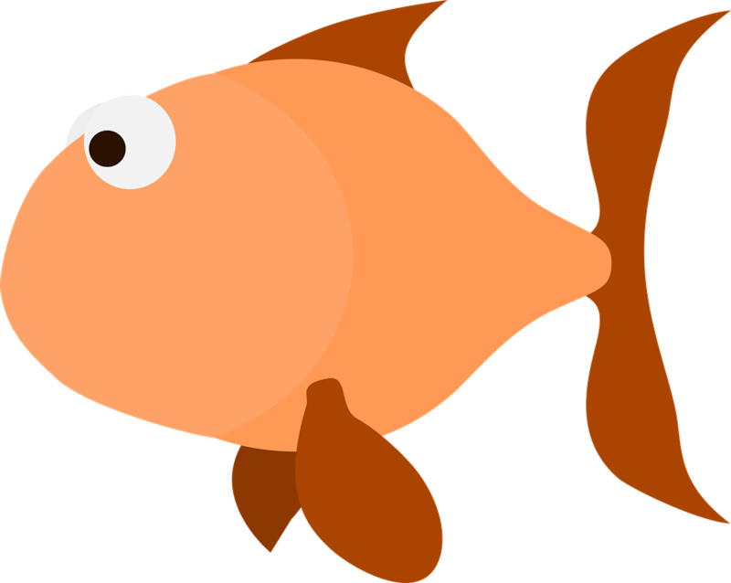 Orange Goldfish Cartoon Illustration