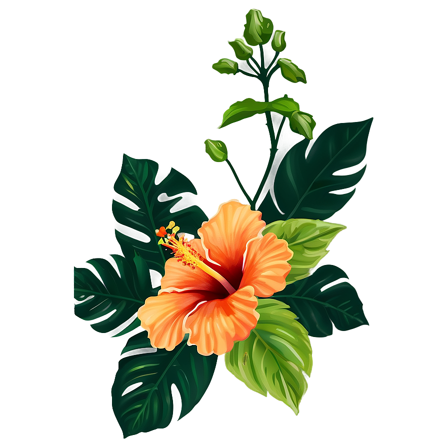 Orange Hibiscus Png Yfd