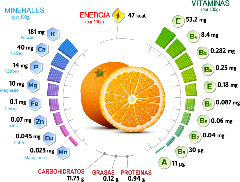 Orange Nutritional Information Graphic