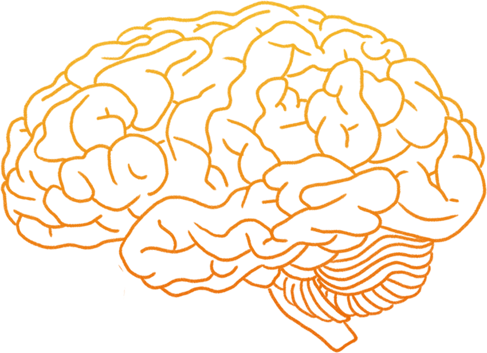 Orange Outline Brain Clipart