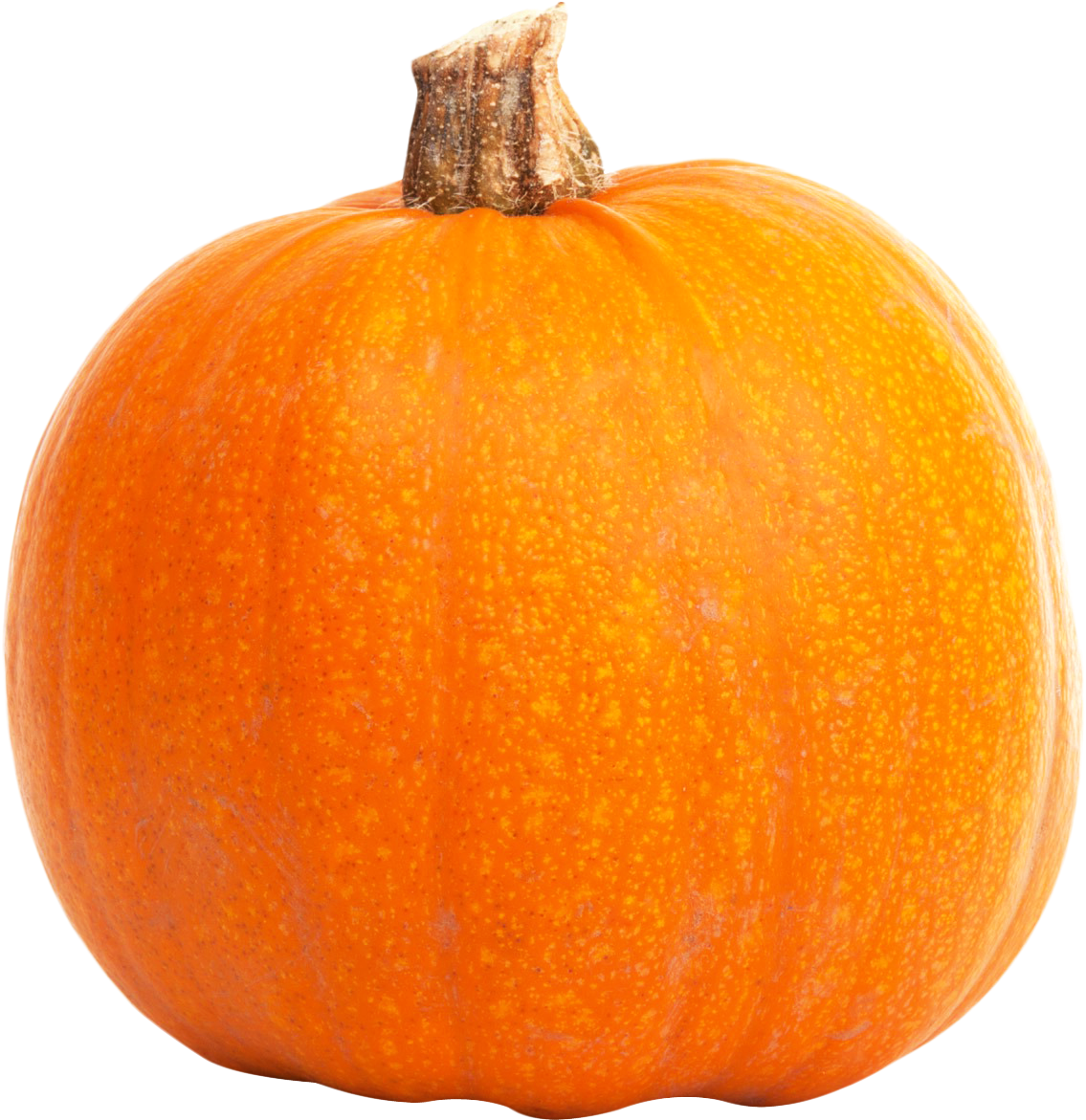 Orange Pumpkin Isolated Background