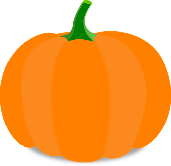 Orange Pumpkin Vector Illustration