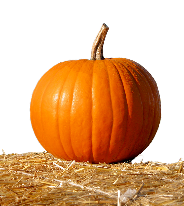 Orange Pumpkinon Hay Bale