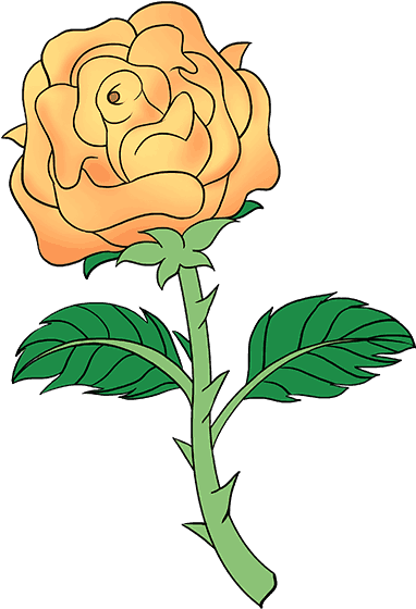 Orange Rose Illustration.png