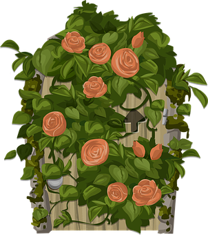 Orange Roseson Garden Fence Illustration