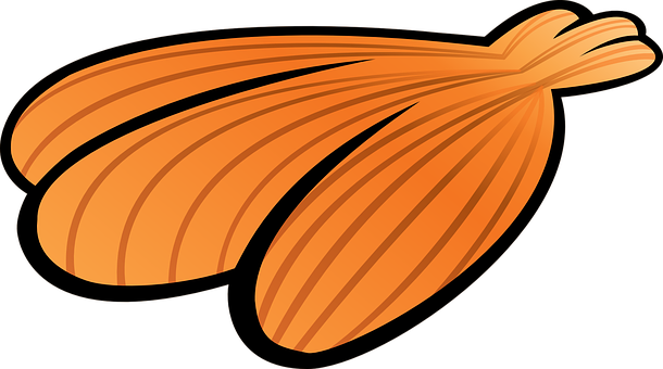 Orange Seashell Vector Art