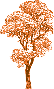 Orange Silhouette Tree Art