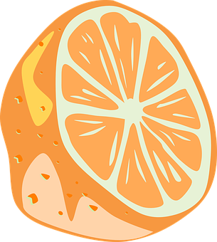 Orange Slice Illustration