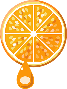 Orange Slice Juice Drip Vector