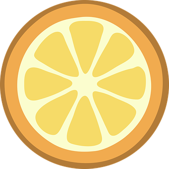 Orange Slice Vector Illustration