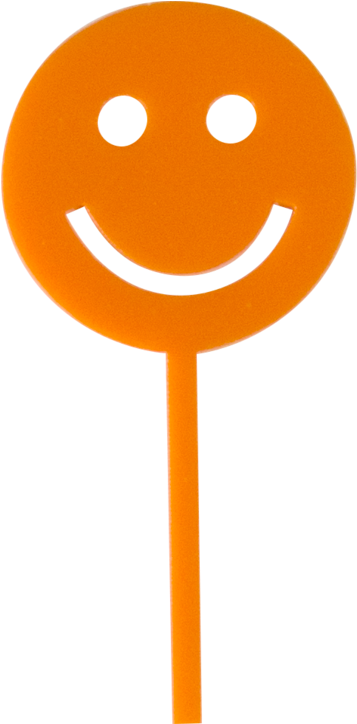 Orange Smiley Face Lollipop