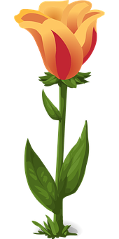 Orange Yellow Tulip Vector Illustration