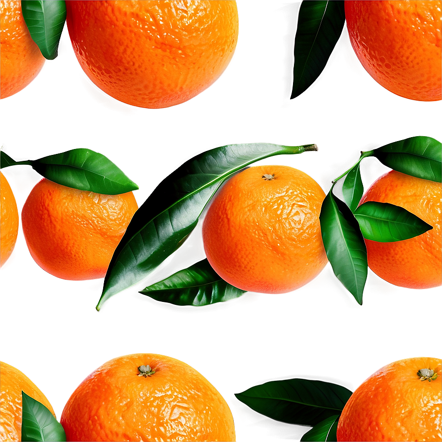 Oranges Flat Lay Png 41