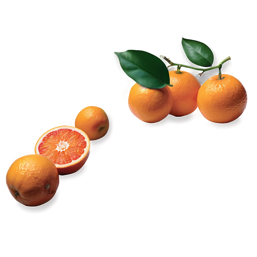 Oranges Flat Lay Png Bod33