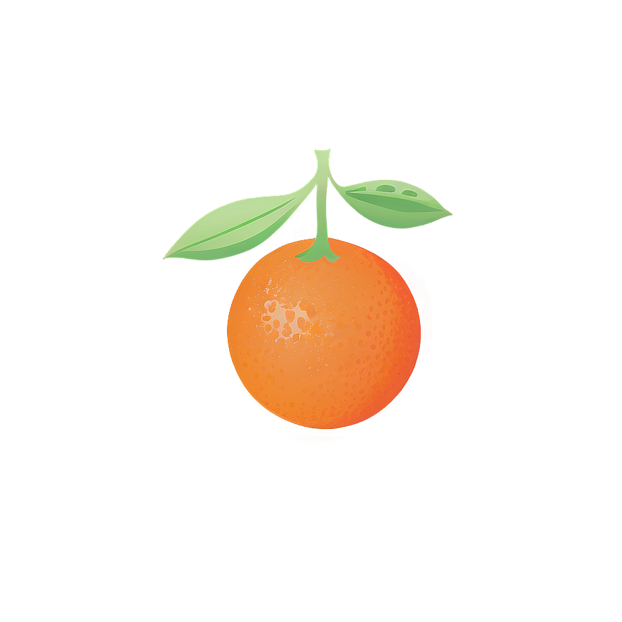 Oranges Illustration Png 53