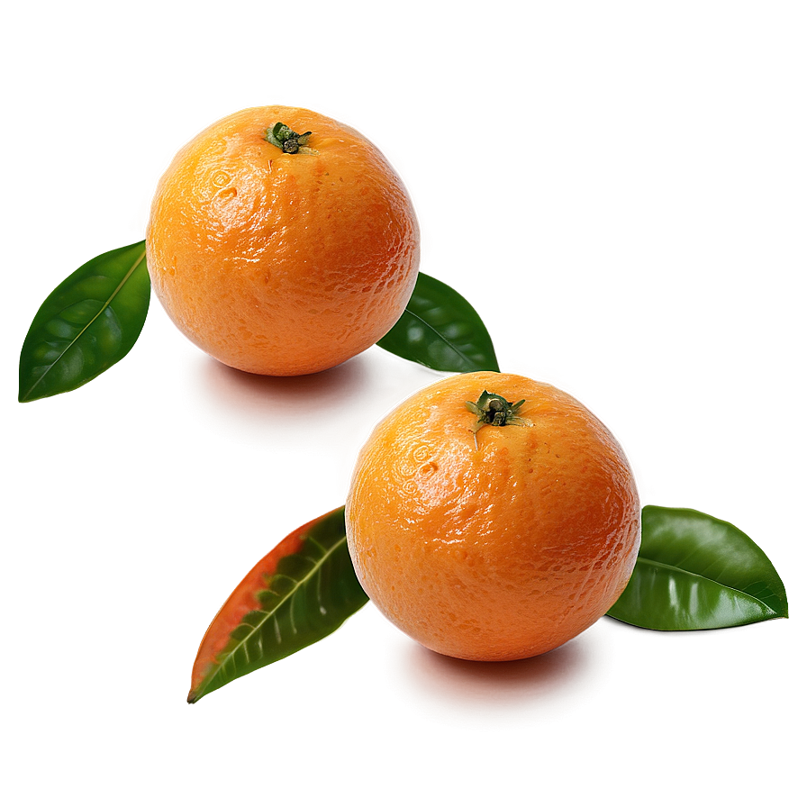 Oranges Isolated Png 10