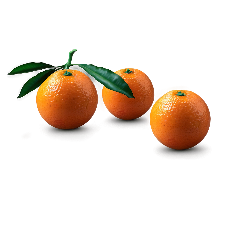 Oranges Realistic Png Khe