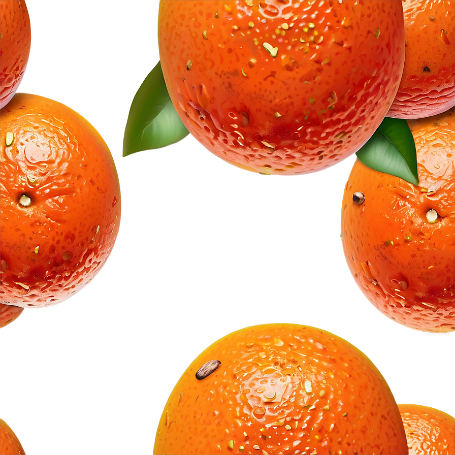 Oranges Sketch Png 4