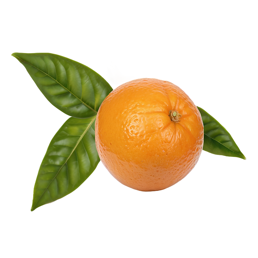 Oranges Top View Png 22