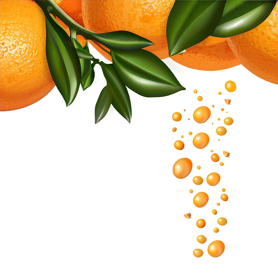 Oranges Vector Png 16