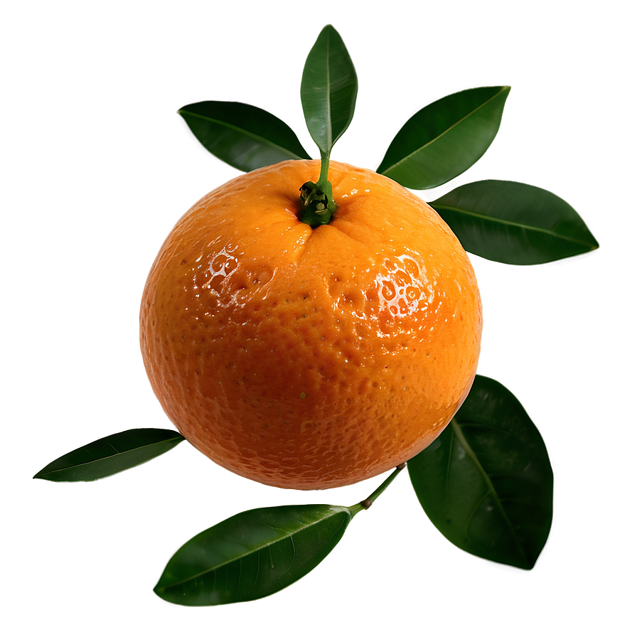 Oranges With Leaves Png 31