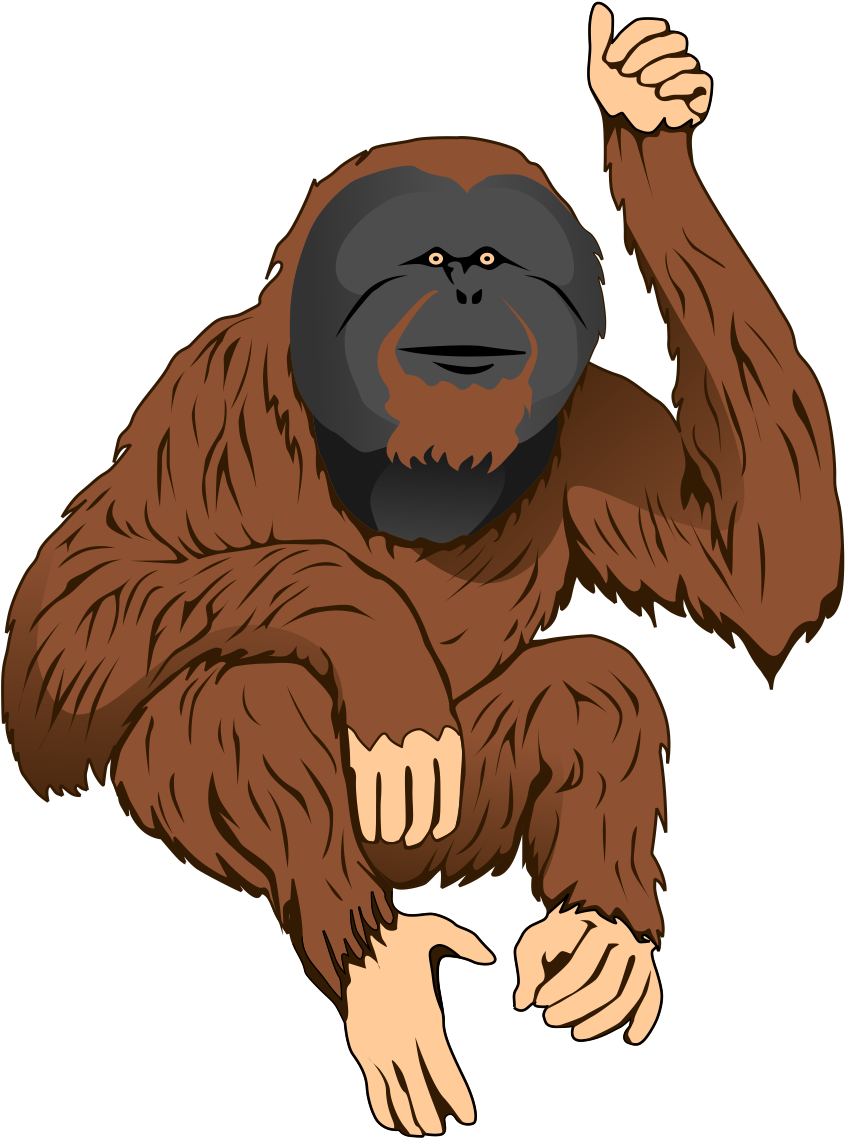 Orangutan Illustration