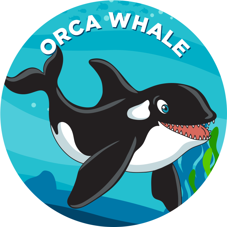 Orca Cartoon Illustration