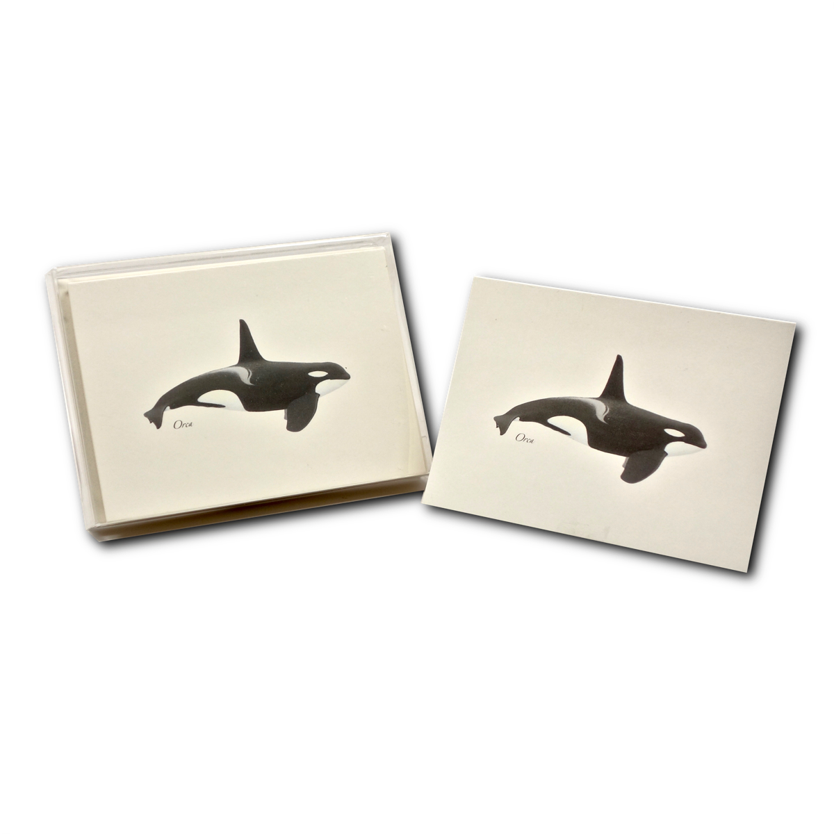 Orca Coasters Set