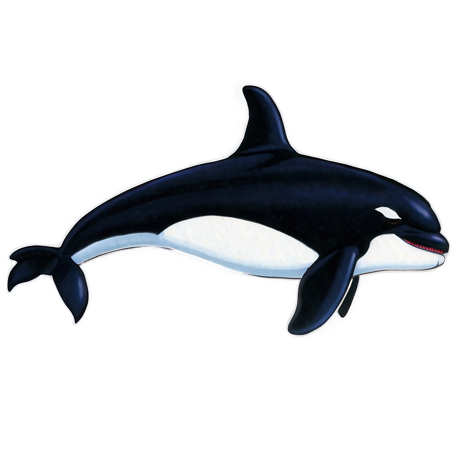 Orca Duo Png Nmr76