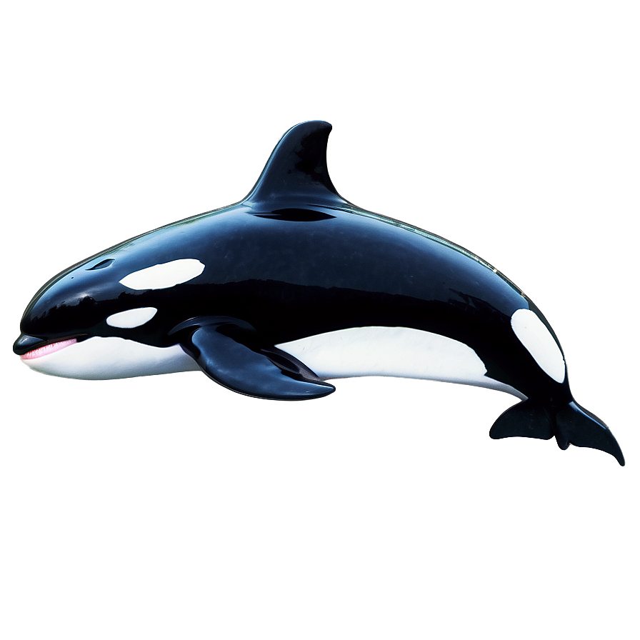 Orca Pod Png Xje