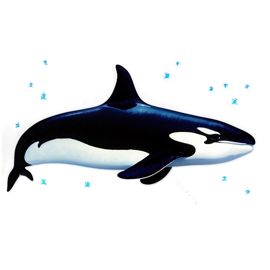 Orca Silhouette Png Tqy