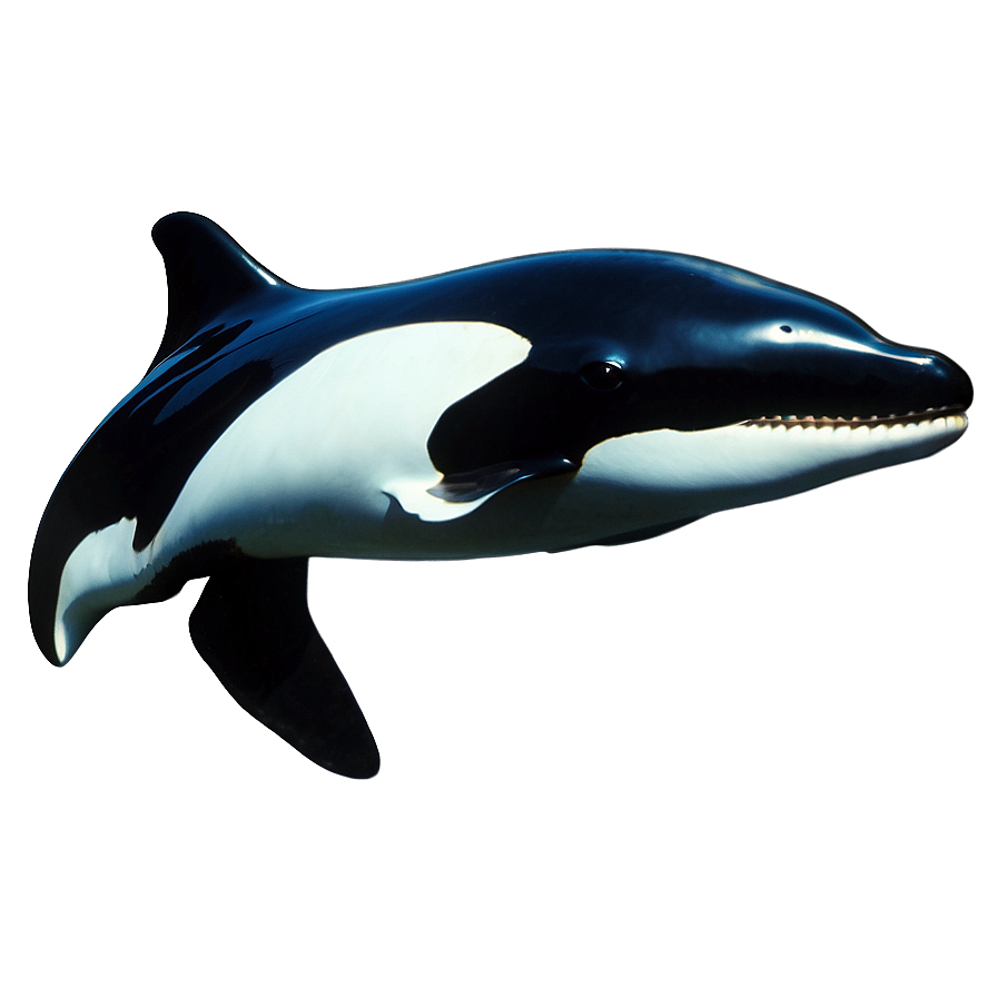 Orca Underwater Png 05242024